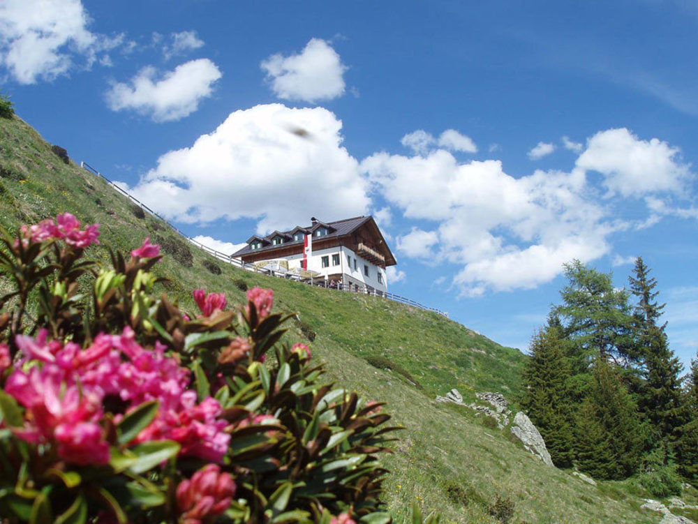 Hotel Fliesserhof Kültér fotó